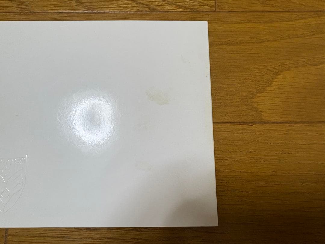 BUMP OF CHICKEN 限定写真集　ヒストリーブック