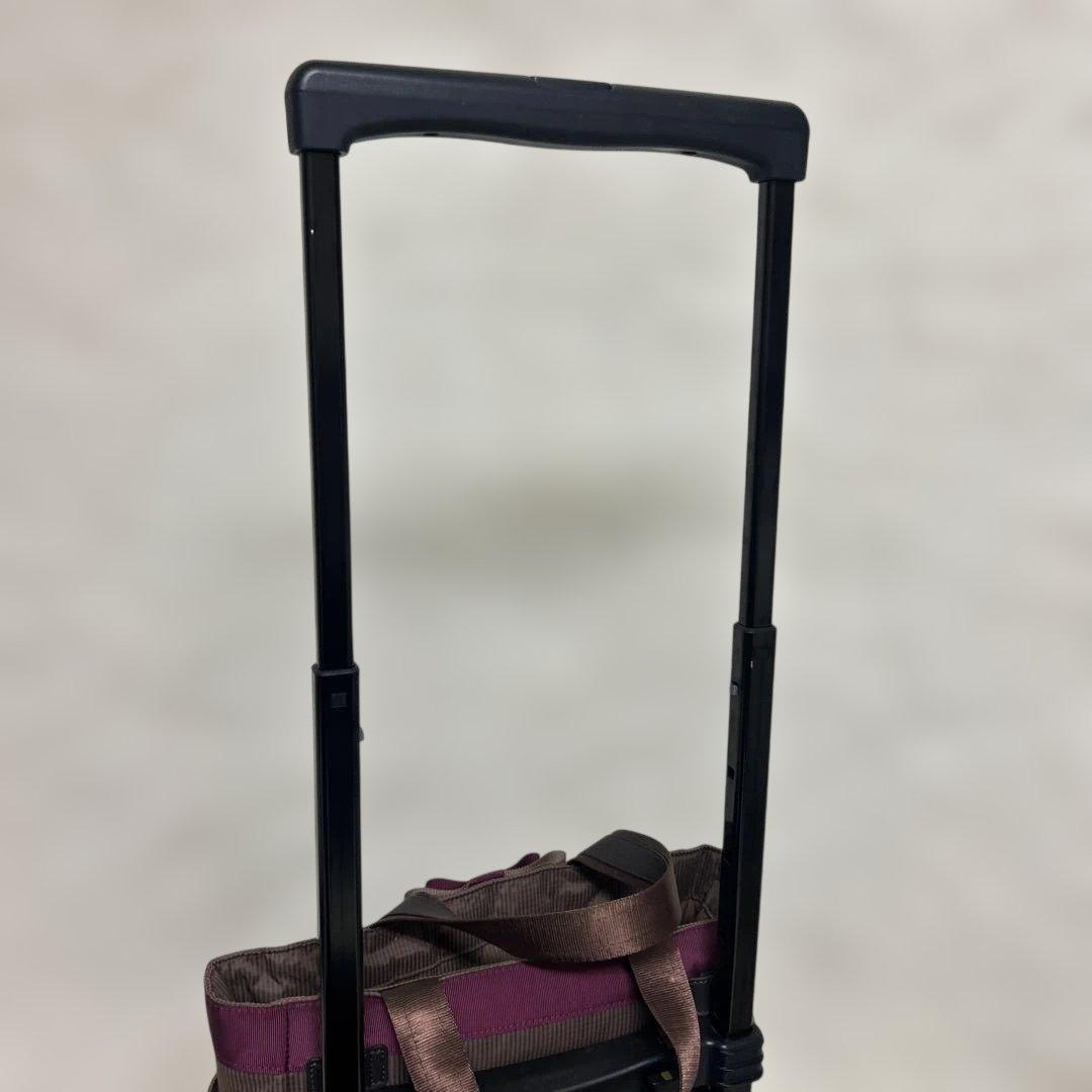 美品　SWANY Mサイズ　ルバンド　キャリーバック　グレージュ色